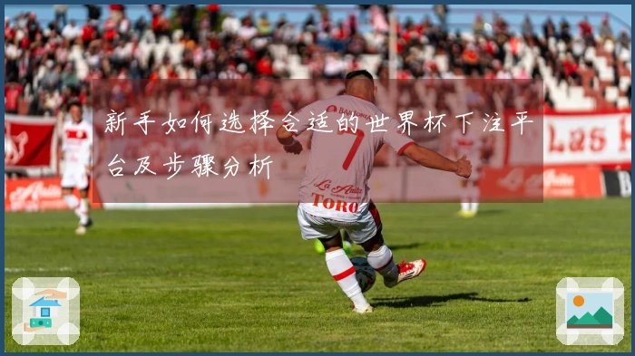 新手如何选择合适的世界杯下注平台及步骤分析
