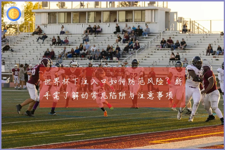 世界杯下注入口如何防范风险？新手需了解的常见陷阱与注意事项