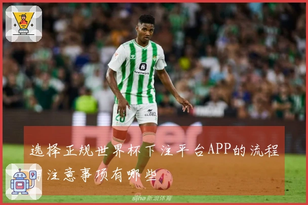 选择正规世界杯下注平台APP的流程与注意事项有哪些