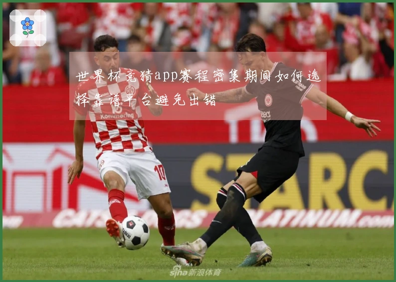 世界杯竞猜app赛程密集期间如何选择靠谱平台避免出错