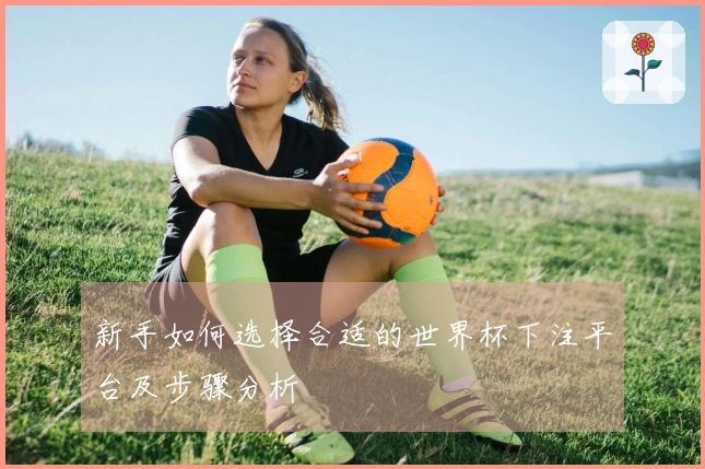 新手如何选择合适的世界杯下注平台及步骤分析