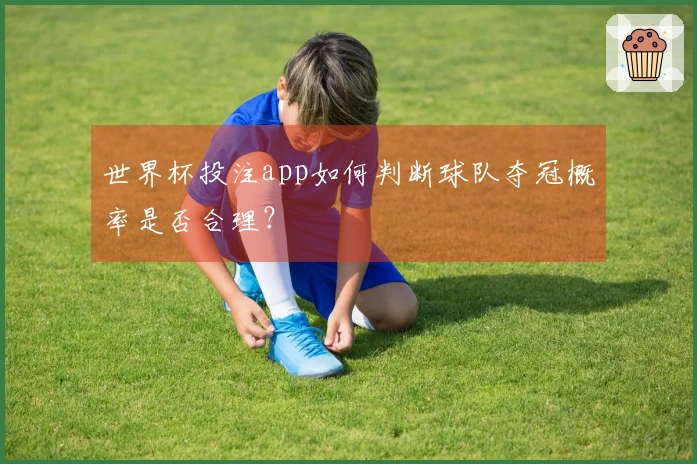 世界杯投注app如何判断球队夺冠概率是否合理？