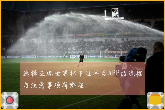 选择正规世界杯下注平台APP的流程与注意事项有哪些