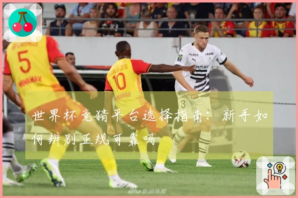 世界杯竞猜平台选择指南：新手如何辨别正规可靠吗