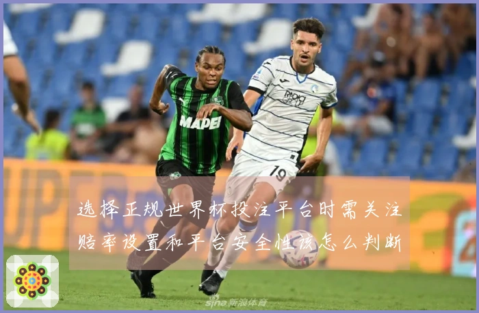 选择正规世界杯投注平台时需关注赔率设置和平台安全性该怎么判断